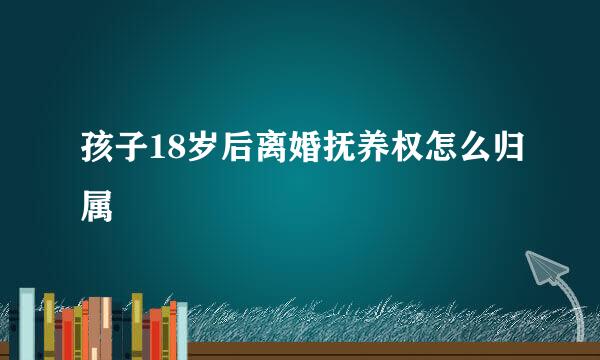孩子18岁后离婚抚养权怎么归属