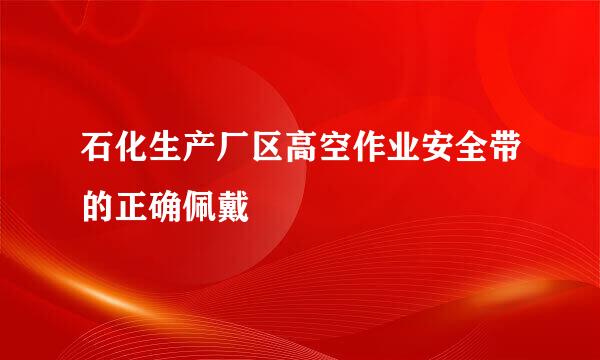 石化生产厂区高空作业安全带的正确佩戴