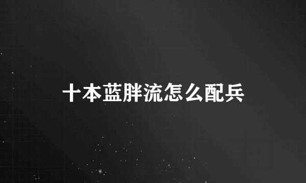 十本蓝胖流怎么配兵