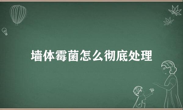 墙体霉菌怎么彻底处理