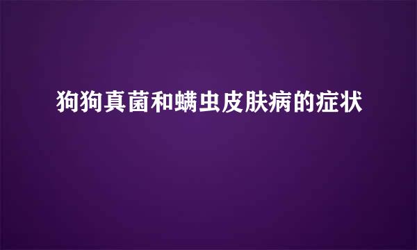 狗狗真菌和螨虫皮肤病的症状