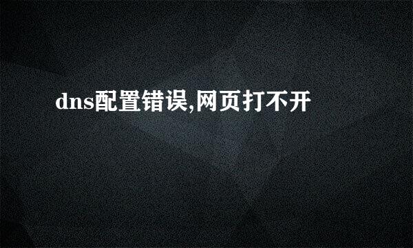 dns配置错误,网页打不开