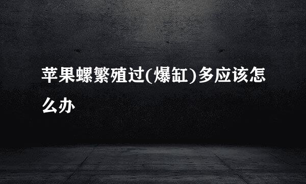 苹果螺繁殖过(爆缸)多应该怎么办