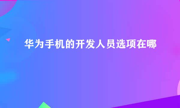 华为手机的开发人员选项在哪
