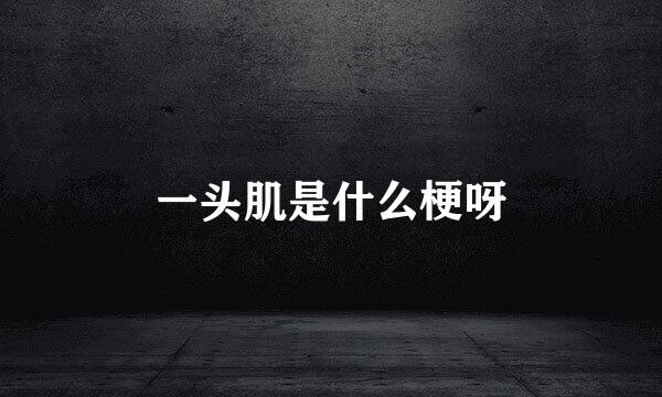 一头肌是什么梗呀