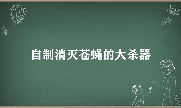 自制消灭苍蝇的大杀器