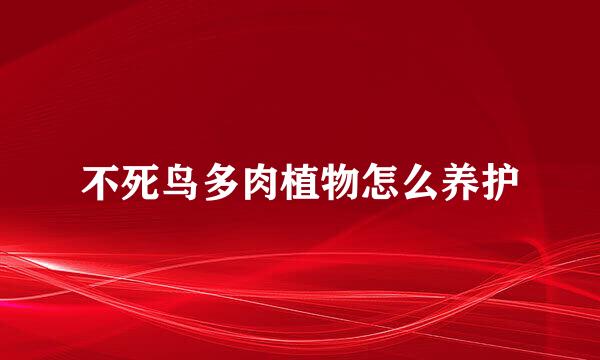 不死鸟多肉植物怎么养护