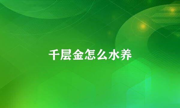 千层金怎么水养