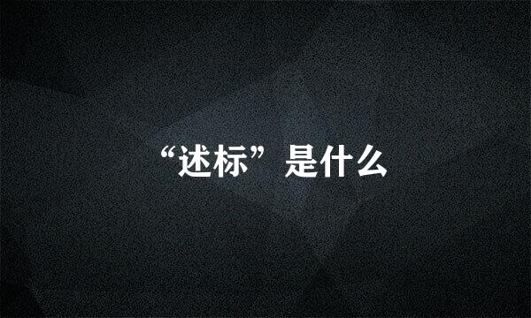“述标”是什么