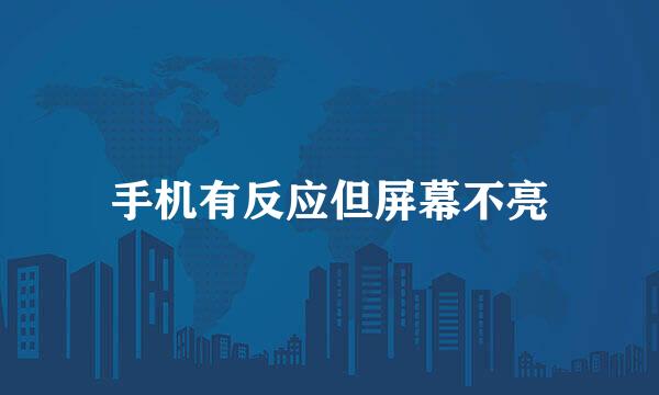 手机有反应但屏幕不亮