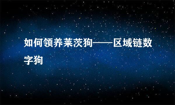 如何领养莱茨狗——区域链数字狗