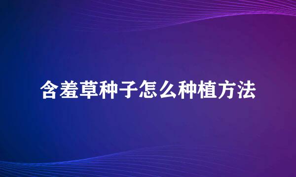 含羞草种子怎么种植方法