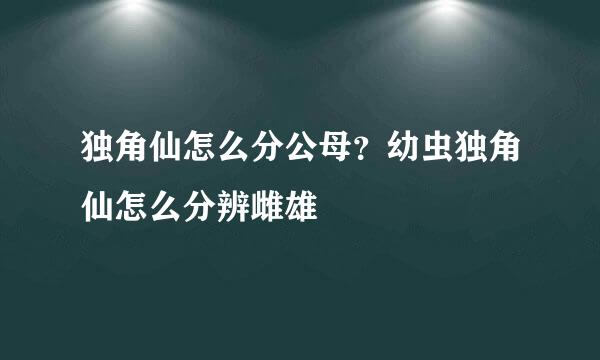 独角仙怎么分公母？幼虫独角仙怎么分辨雌雄