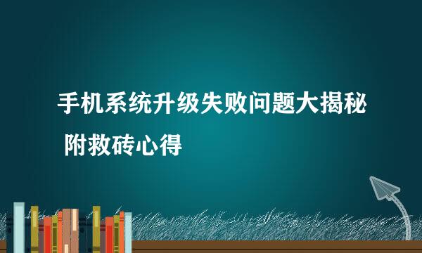 手机系统升级失败问题大揭秘 附救砖心得