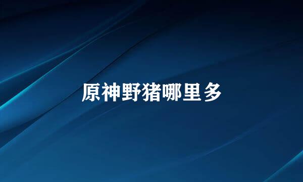 原神野猪哪里多