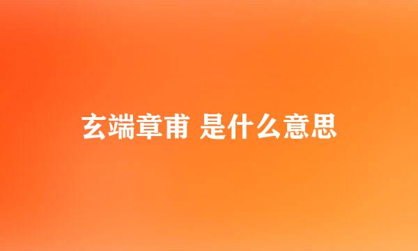 玄端章甫 是什么意思