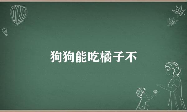 狗狗能吃橘子不