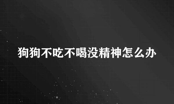 狗狗不吃不喝没精神怎么办