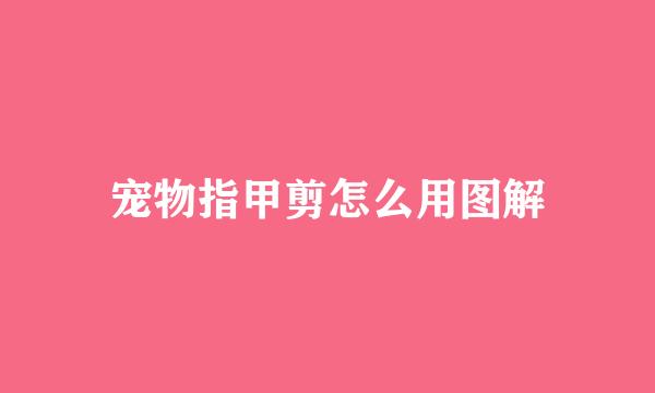 宠物指甲剪怎么用图解