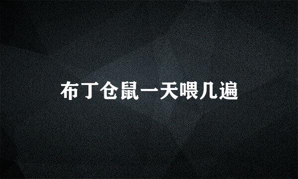 布丁仓鼠一天喂几遍