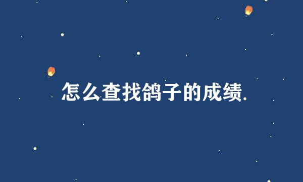 怎么查找鸽子的成绩