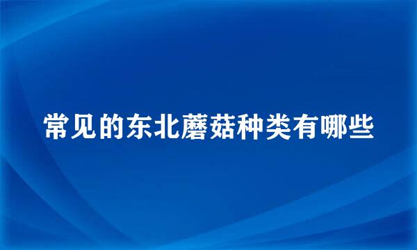 常见的东北蘑菇种类有哪些