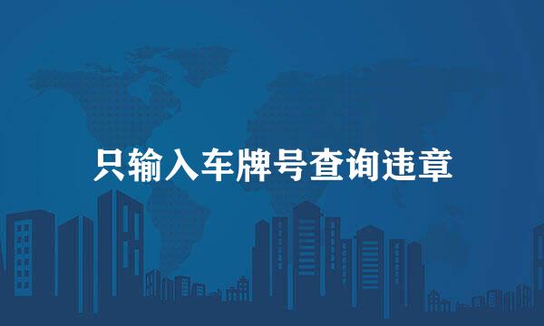 只输入车牌号查询违章