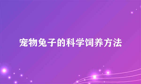 宠物兔子的科学饲养方法