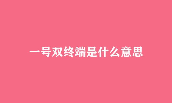 一号双终端是什么意思