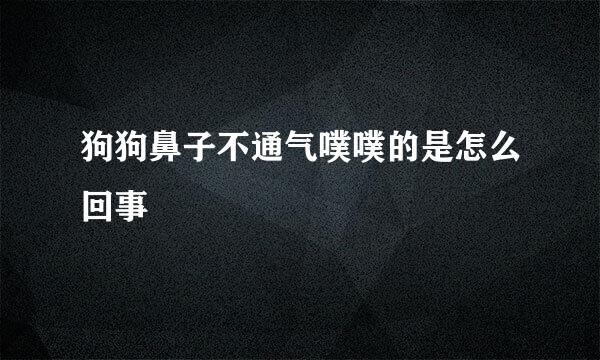 狗狗鼻子不通气噗噗的是怎么回事