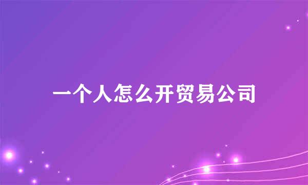 一个人怎么开贸易公司