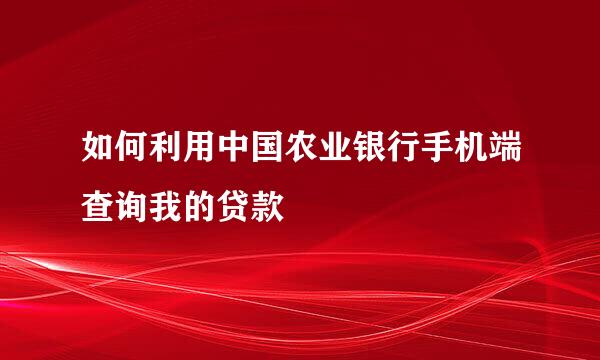 如何利用中国农业银行手机端查询我的贷款