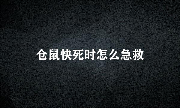 仓鼠快死时怎么急救
