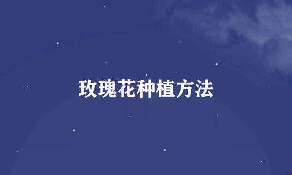 玫瑰花种植方法