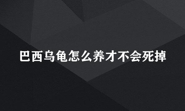 巴西乌龟怎么养才不会死掉