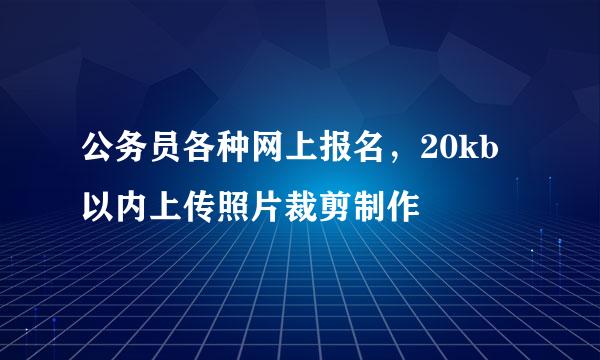 公务员各种网上报名，20kb以内上传照片裁剪制作