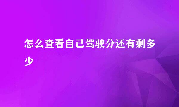 怎么查看自己驾驶分还有剩多少
