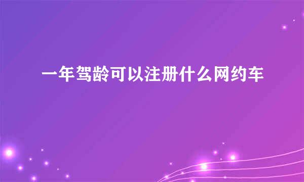 一年驾龄可以注册什么网约车
