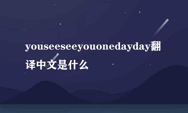youseeseeyouonedayday翻译中文是什么