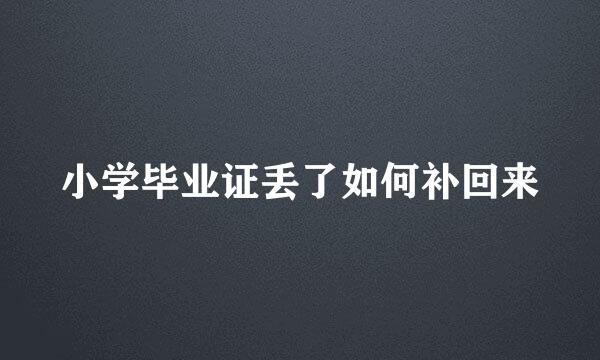 小学毕业证丢了如何补回来