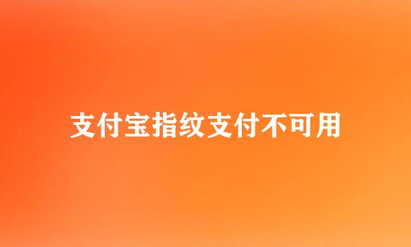 支付宝指纹支付不可用