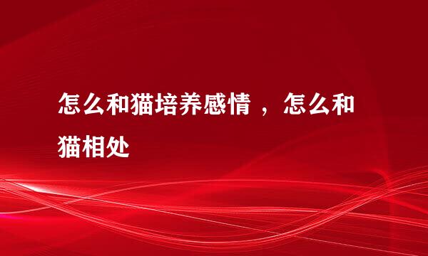 怎么和猫培养感情 ，怎么和猫相处