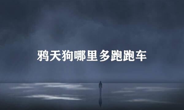 鸦天狗哪里多跑跑车