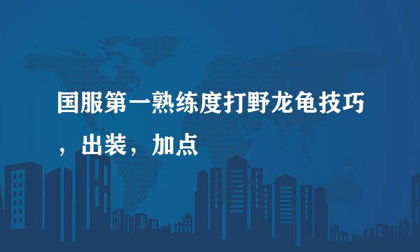 国服第一熟练度打野龙龟技巧，出装，加点