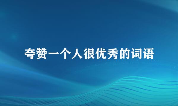 夸赞一个人很优秀的词语