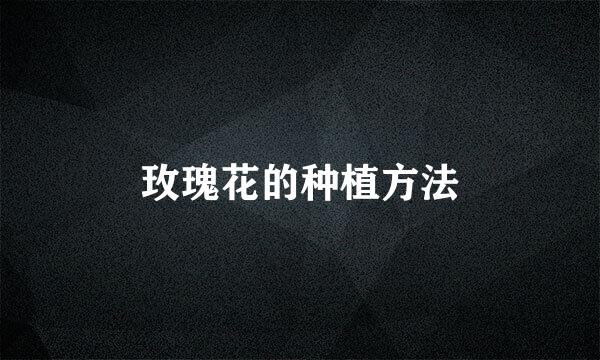 玫瑰花的种植方法