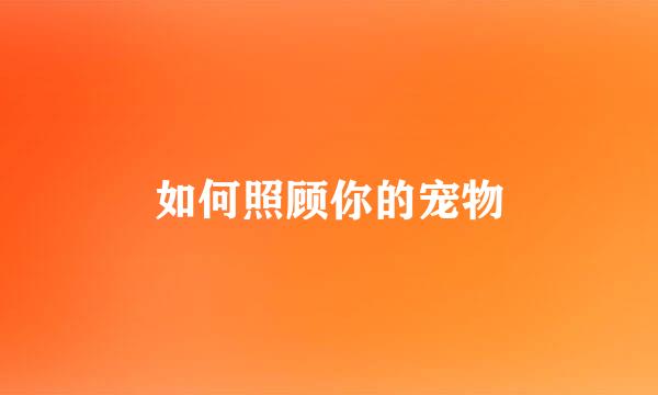 如何照顾你的宠物