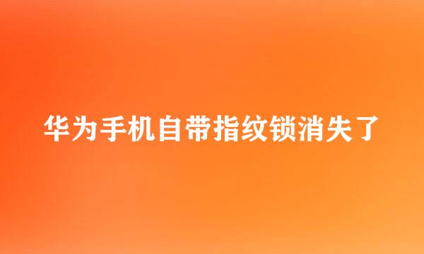 华为手机自带指纹锁消失了