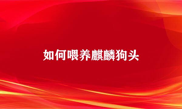 如何喂养麒麟狗头
