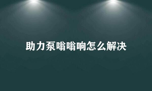 助力泵嗡嗡响怎么解决
